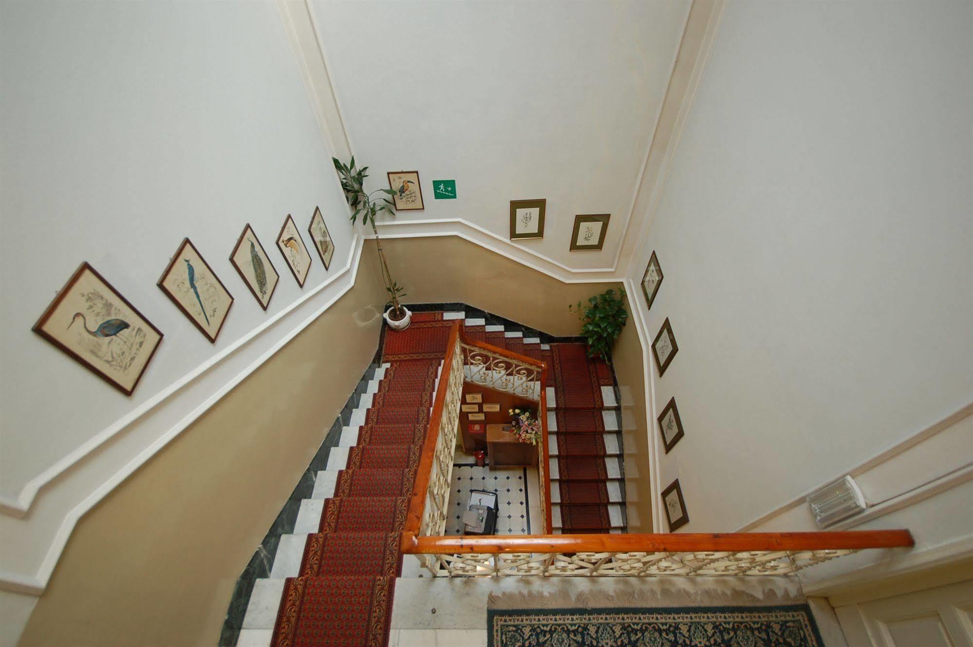 Hotel Ely Viareggio Exterior photo